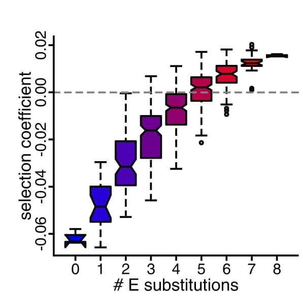 Open access visualization of Box Plot, Box and Whisker Plot, Selection Coefficient, Mutants, Phosphomimetic Mutations