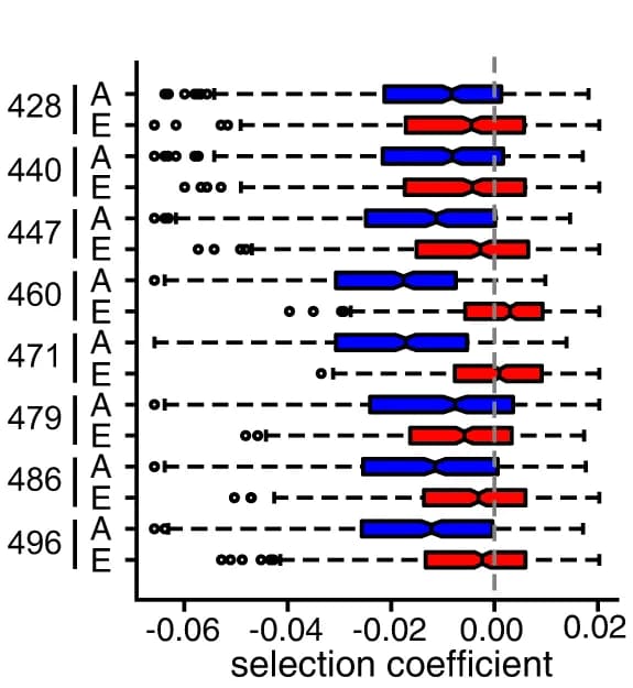Open access visualization of Box Plot, Box and Whisker Plot, Selection Coefficient, Mutants, Substitutions