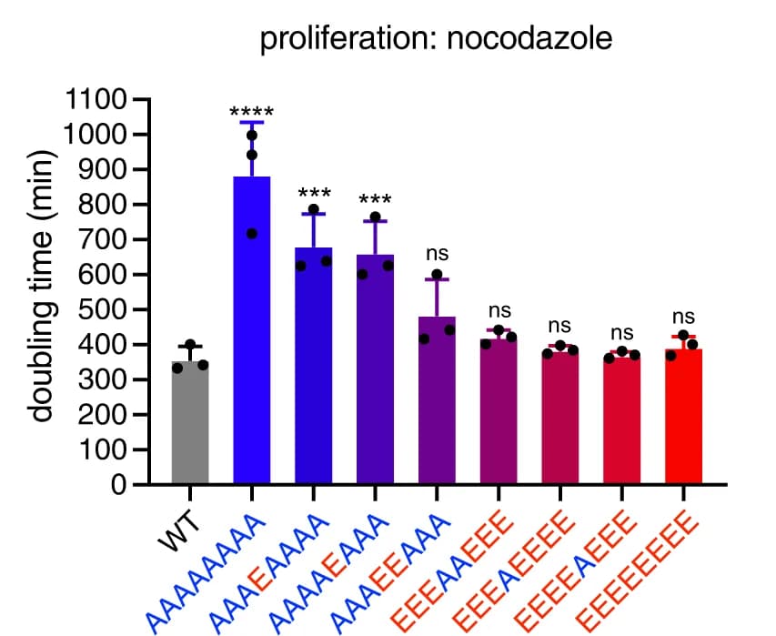 Open access visualization of Bar Plot, Error Bars, Doubling times, Strains, Rich medium