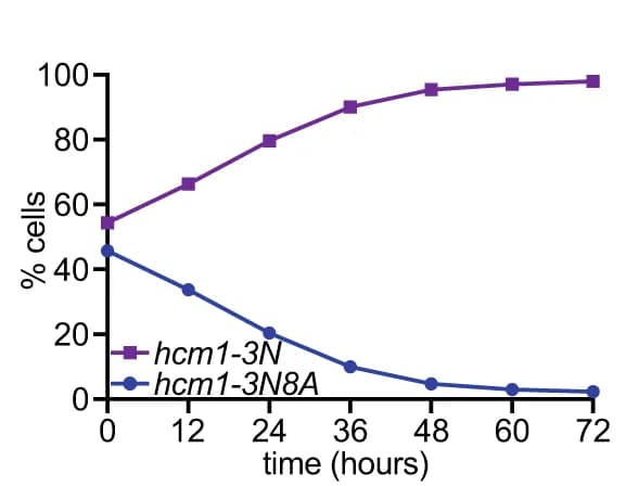 Open access visualization of Line Plot, Phosphomutant library, Phosphodegron, S/T-P sites, TAD