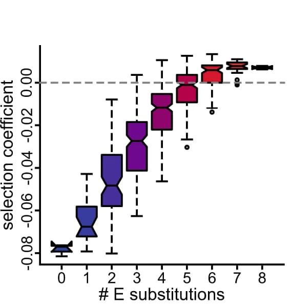 Open access visualization of Box Plot, Box and whisker plots, Selection coefficients, Mutants, Phosphomimetic mutations
