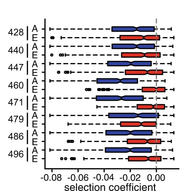 Open access visualization of Box Plot, Box and whisker plots, Selection coefficients, Mutants, Substitutions