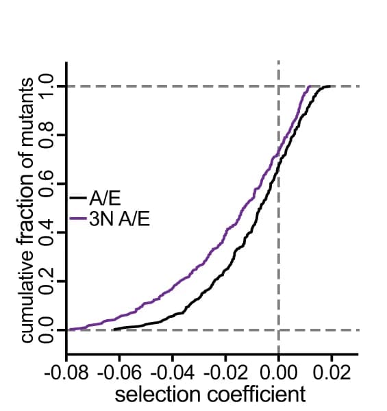 Open access visualization of Line Plot, Cumulative frequency plot, Mutants, Selection coefficients, A/E library