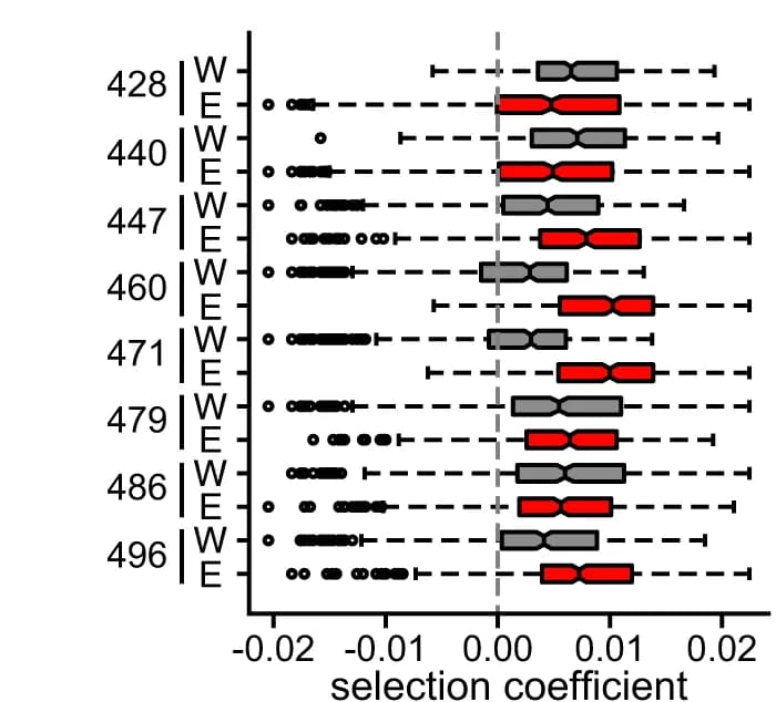 Open access visualization of Box Plot, Box and Whisker Plots, Selection Coefficients, Mutants, Substitutions