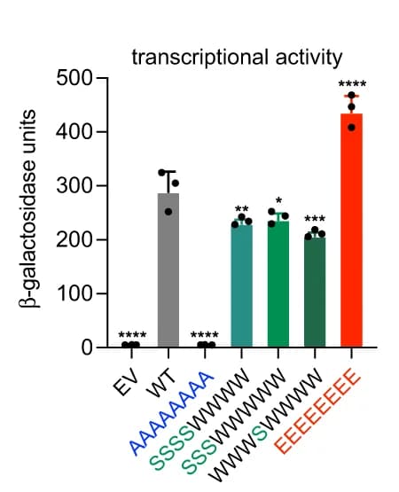 Open access visualization of Bar Plot, Error Bars, Transcriptional Activation Assay, LexA-DBD, Hcm1 TAD