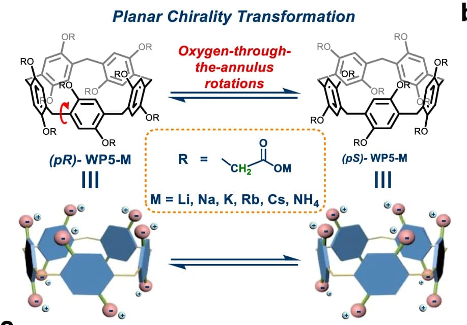 Open access visualization of Chemical Structure, Planar Chirality, Transformation, WP5-M