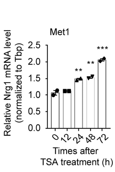 Open access visualization of Bar Plot, Error Bars, Nrg1 Gene, Enhancer, Chromosome