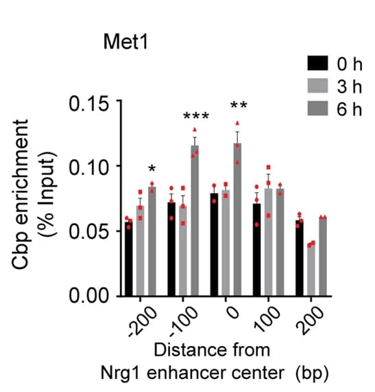 Open access visualization of Bar Plot, Error Bars, Clustered, ChIP-qPCR, CBP