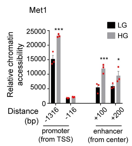 Open access visualization of Bar Plot, Error Bars, Clustered, Chromatin Accessibility, Nrg1 Promoter
