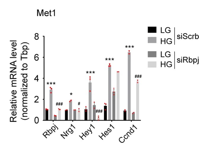 Open access visualization of Bar Plot, Error Bars, Clustered, mRNA, Rbpj