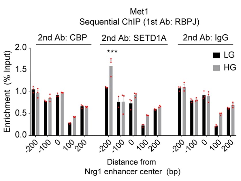 Open access visualization of Bar Plot, Clustered, Error Bars, ChIP-qPCR, RBPJ