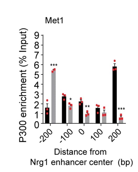 Open access visualization of Bar Plot, Error Bars, ChIP-qPCR, RBPJ, NICD