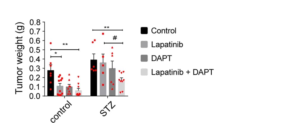 Open access visualization of Bar Plot, Error Bars, Scatter Plot, Tumor Weights, Lapatinib