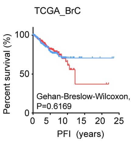 Open access visualization of Survival Curve, Line Step, KaplanMeier Survival Analysis, PFI, NRG1 Patient Groups