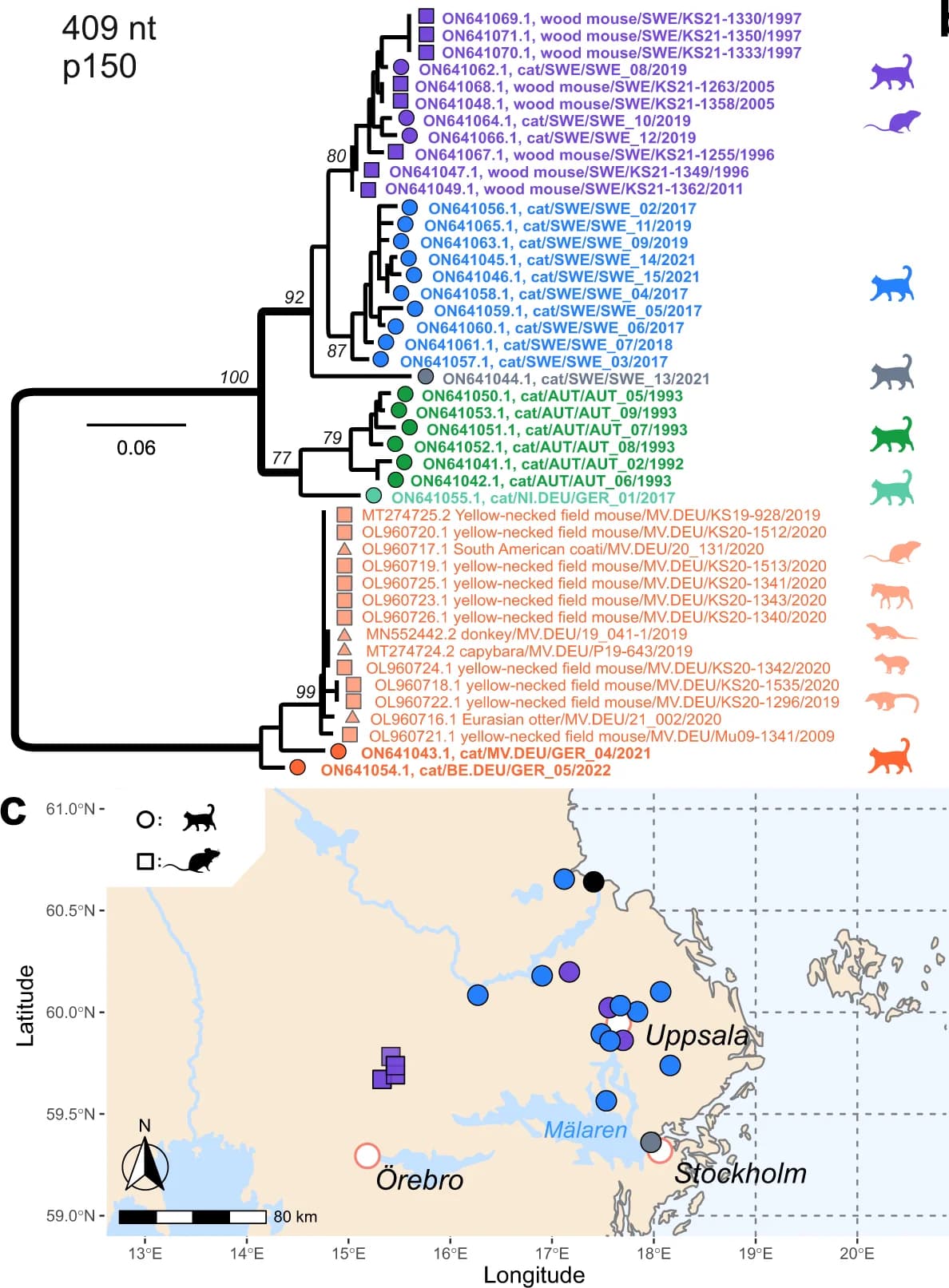 Open access visualization of Geo Map, Phylogenetic Tree, RusV Sequences, Bootstrap Values