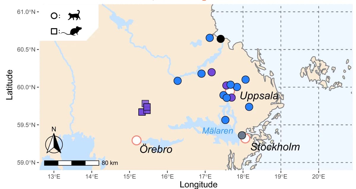 Open access visualization of Geo Map, Geographic Origin, RusV-positive Animals, Lake Malaren, Sweden
