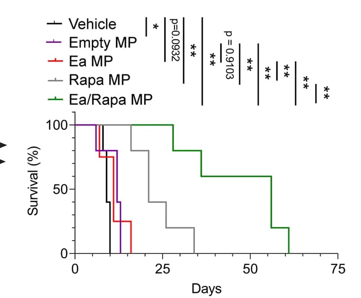 Open access visualization of Survival Curve, Line Plot, Line Step, Experiment