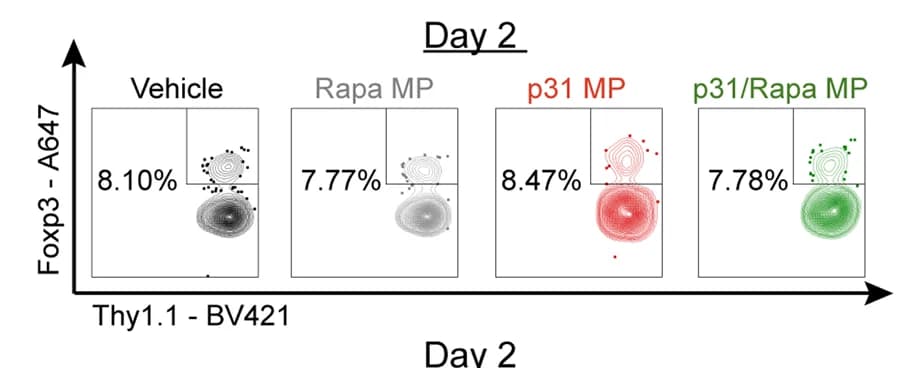 Open access visualization of Scatter Plot, Flow Cytometry, T Cell, Foxp3 Expression, Lymph Nodes