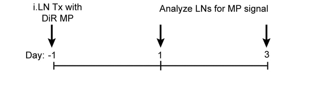Open access visualization of Workflow, Flowchart, Schematic representation