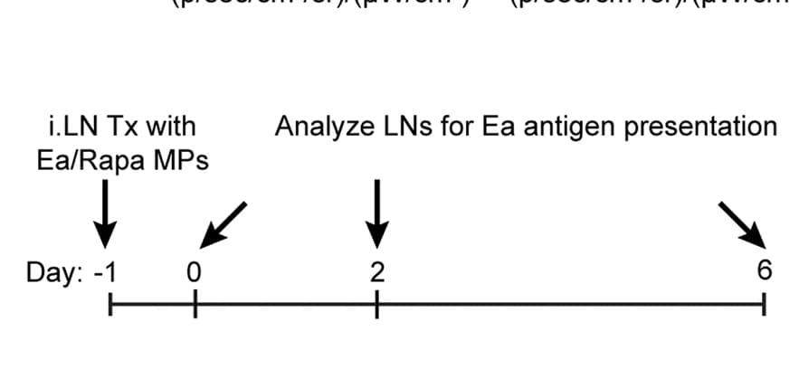 Open access visualization of Workflow, Flowchart, Schematic representation