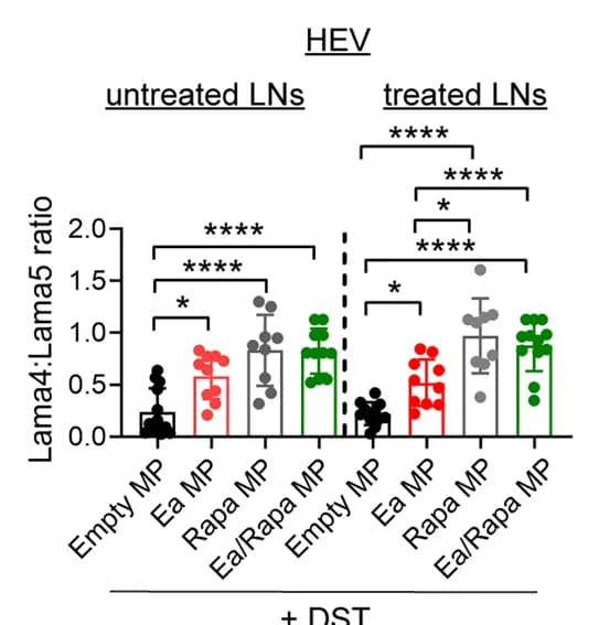 Open access visualization of Bar Plot, Error Bars, Laminin 4, Laminin 5, High endothelial venules