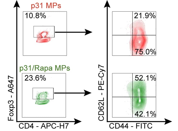Open access visualization of Scatter Plot, Gating scheme, CD44, CD62L, Treg