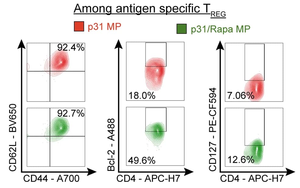 Open access visualization of Scatter Plot, CD44, CD62L, BCL-2, CD127