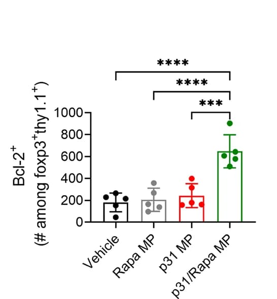 Open access visualization of Bar Plot, Error Bars, BCL-2, Treg, p31