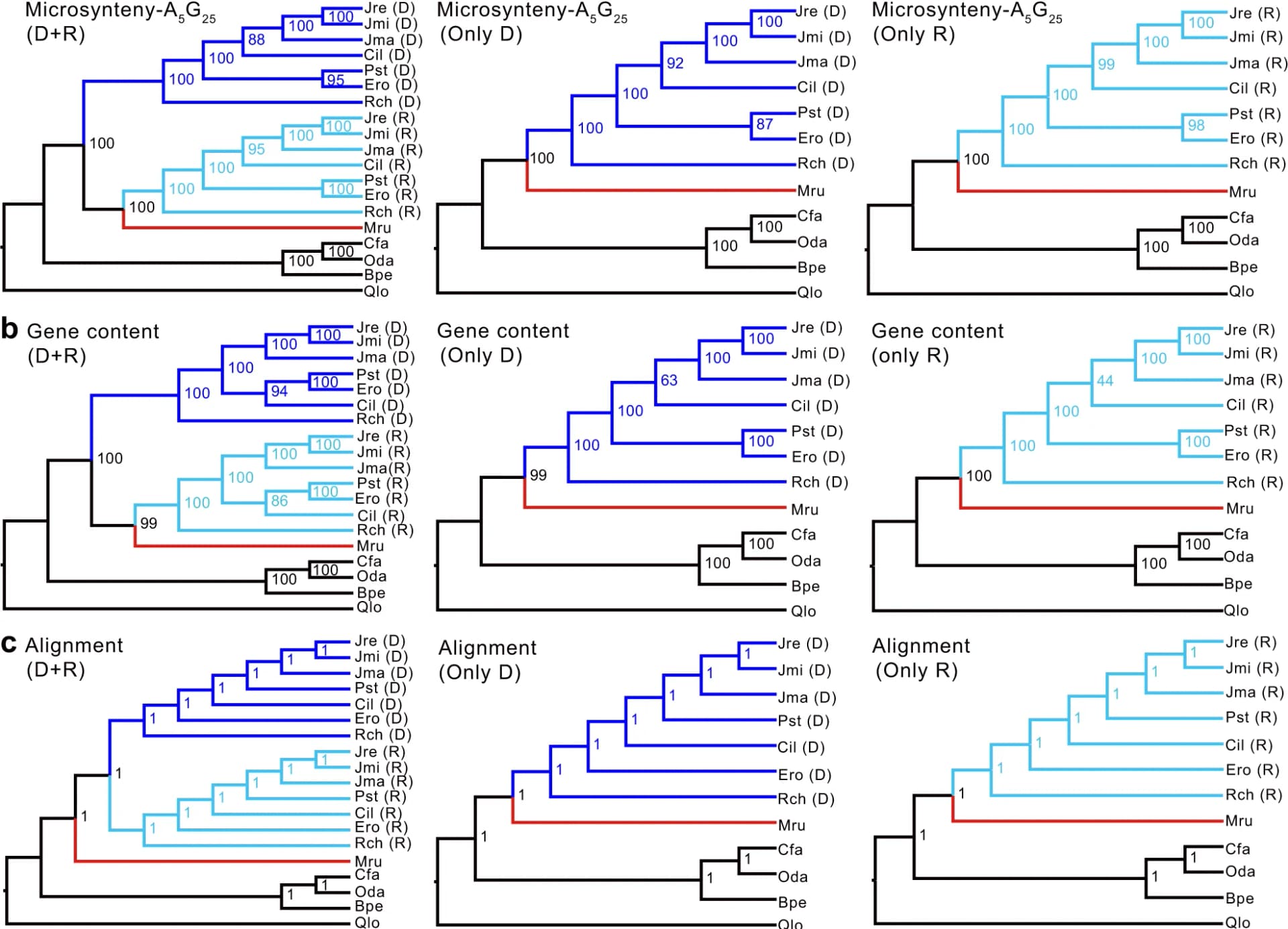 Open access visualization of Line Plot, Phylogenies, Microsynteny, Subgenomes, Bootstrap Support