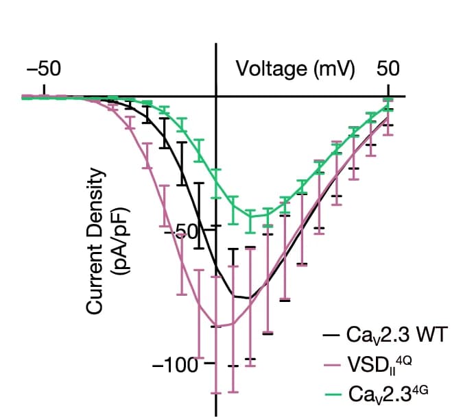 Open access visualization of Line Plot, Error Bars, Current Density, Ca V 2.3, VSD II 4Q