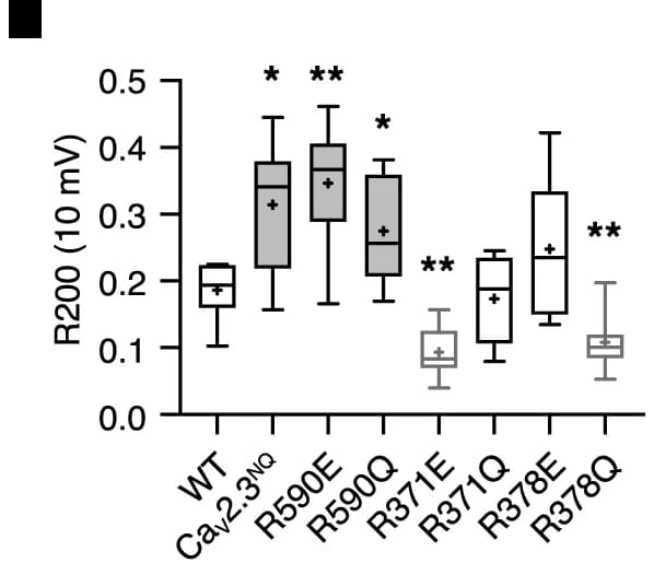 Open access visualization of Box Plot, AID, S6 II NCD, S4-S5 II, Ca V 2.3 1E Subunit