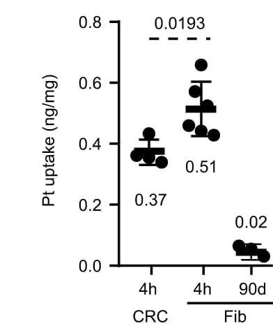 Open access visualization of Scatter Plot, Error Bars, Oxaliplatin Uptake, HT29-M6, CRC
