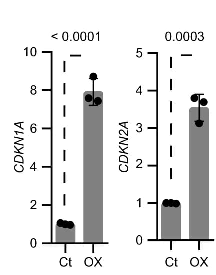 Open access visualization of Bar Plot, Error Bars, Expression Levels, CDKN1A, CDKN2A