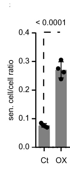 Open access visualization of Bar Plot, Error Bars, beta-galactosidase, CCD-18Co, Quantification