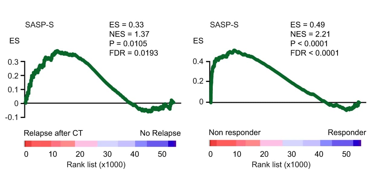 Open access visualization of Line Plot, GSEA, SASP-S, Relapse, Chemotherapy