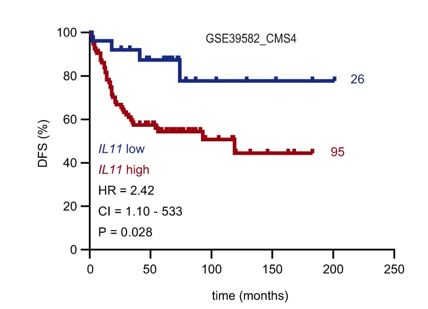 Open access visualization of Survival Curve, Line Step, Kaplan-Meier Curve, DFS, GSE39582_CMS4