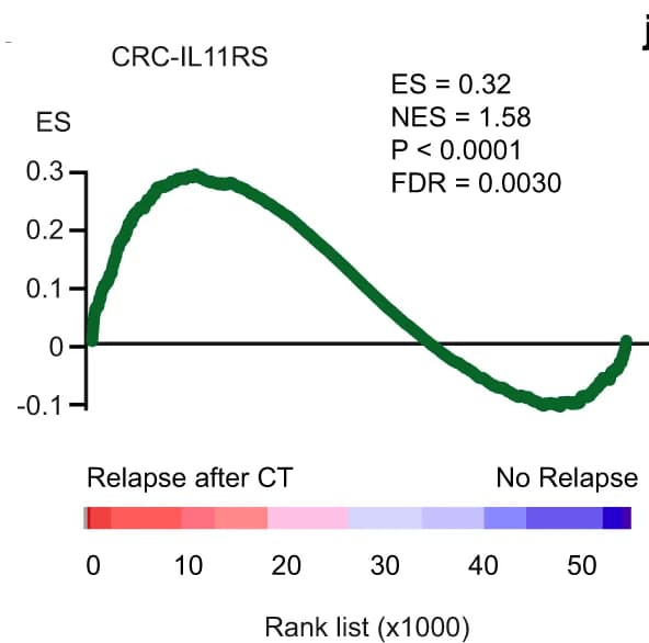 Open access visualization of Line Plot, GSEA, CRC-IL11RS, Relapsing Patients, Non-Relapsing Patients
