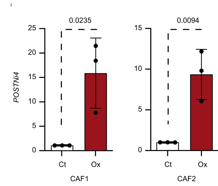 Open access visualization of Bar Plot, Error Bars, POSTNi4, CAFs, Oxaliplatin