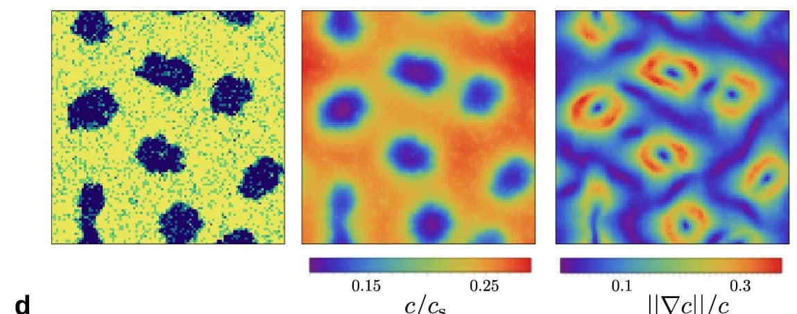 Open access visualization of Heatmap, Aggregate, Occupation Number, Oxygen Concentration, Aerotaxis