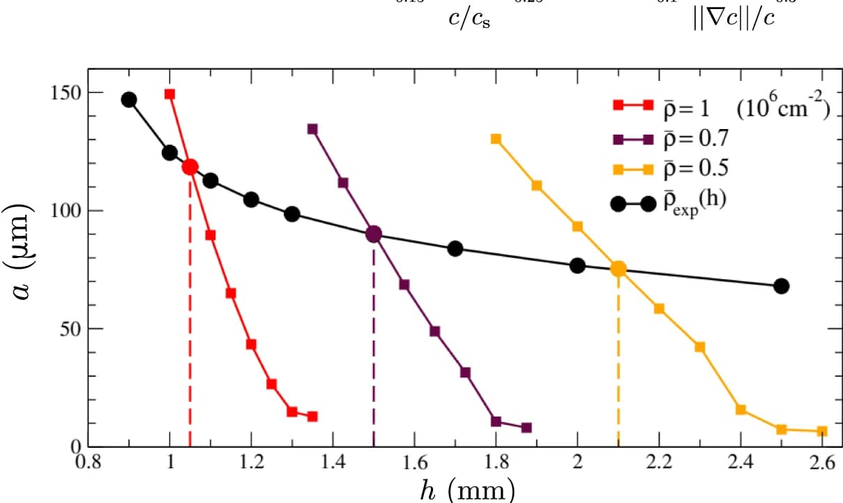 Open access visualization of Line Plot, Line Step, Aggregate Size, Film Height, Cell Density