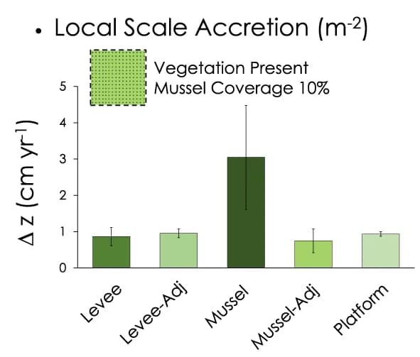 Open access visualization of Bar Plot, Error Bars, Local scale accretion, Marsh area types, Baseline scenario