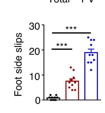 Open access visualization of Bar Plot, Scatter Plot, Error Bars, Side Slips, Beam Walking