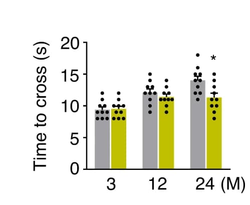 Open access visualization of Bar Plot, Error Bars, Clustered, Beam Walking, WT Mice