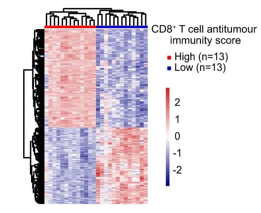 Open access visualization of Heatmap, Clustered, NPC Tumors, CD8+ T-cells, Antitumor Immunity