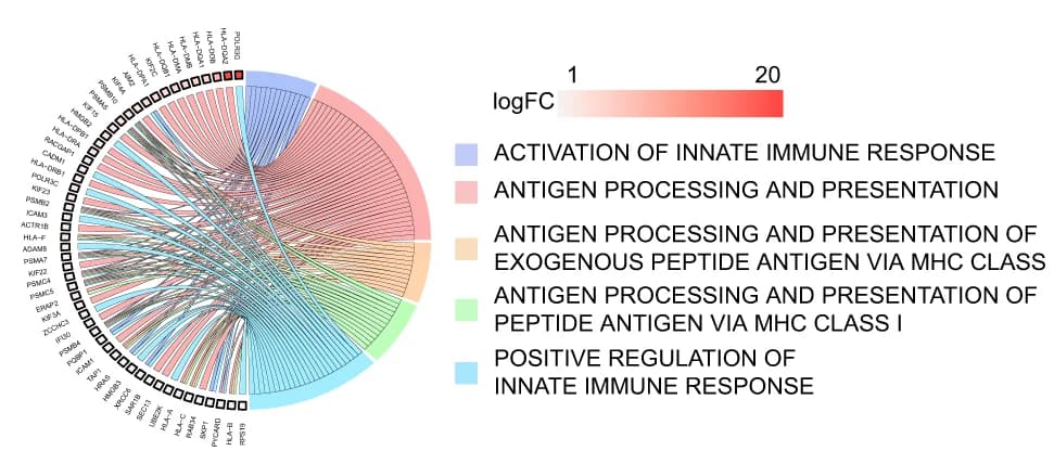 Open access visualization of Chord, GO Analysis, scRNA-seq, TRIM21 Expression, Innate Immune Response