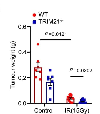 Open access visualization of Bar Plot, Error Bars, Scatter Plot, Excised Residual Tumors, Kruskal-Wallis Test