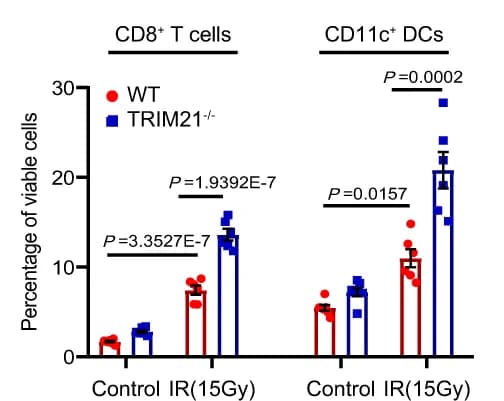 Open access visualization of Bar Plot, Error Bars, Scatter Plot, Tumor-Infiltrating, CD8+ T-cells