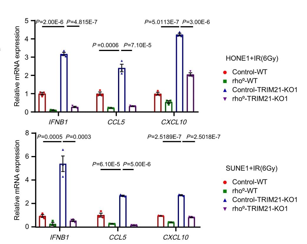 Open access visualization of Bar Plot, Error Bars, STING, TBK1, IRF3
