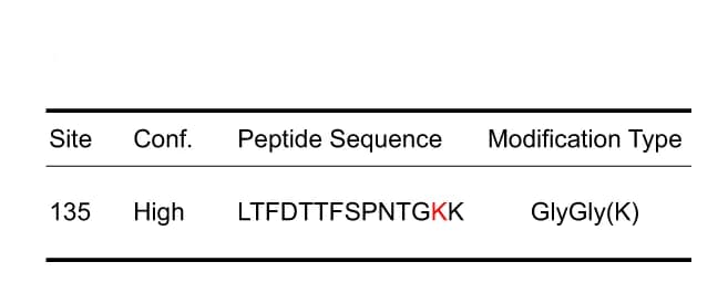 Open access visualization of Table Image, MS Analysis, VDAC2, Ubiquitination Sites