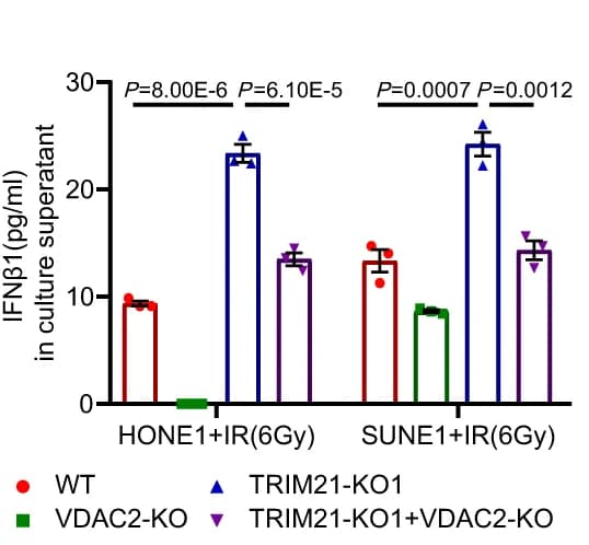 Open access visualization of Bar Plot, Error Bars, Scatter Plot, IFN-1, Culture Supernatants